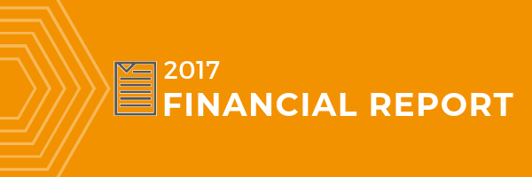 Shake It Up 2017 Financial Report