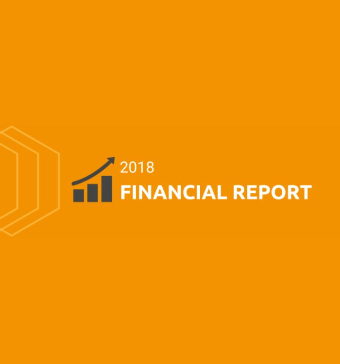 2018 Financial Report