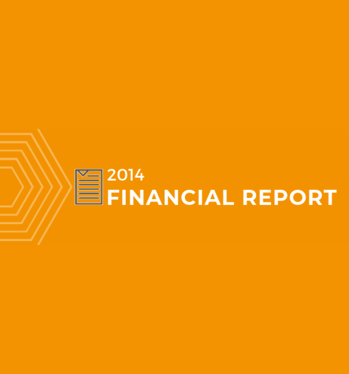 2014 Financial Report